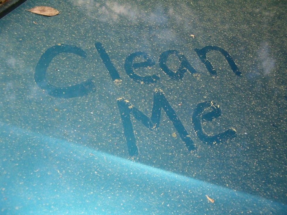 How Often Should I Have My Windows Cleaned?